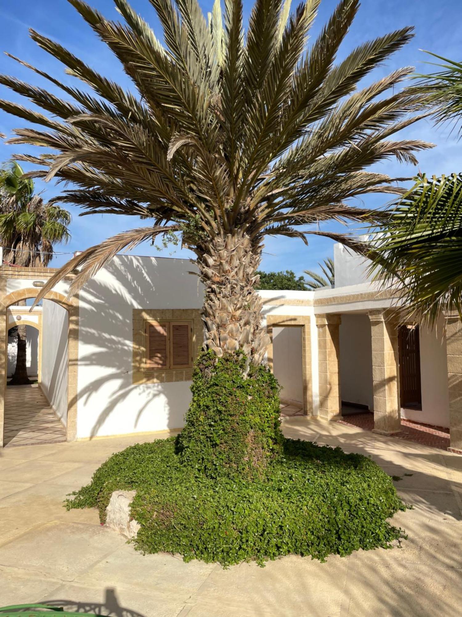 Hotel Villa Soleil Sidi Kaouki Exterior foto